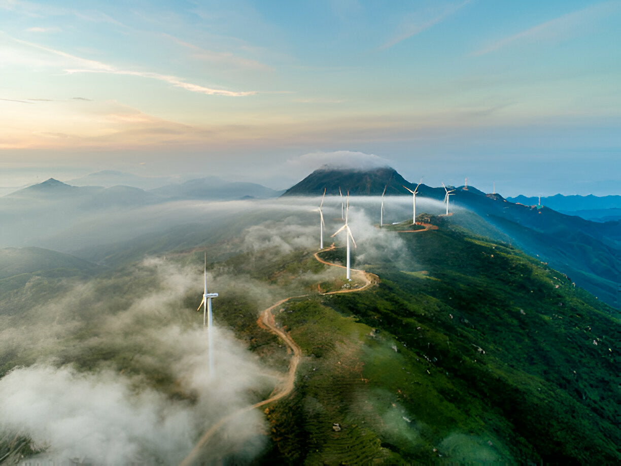 Why Vancouver is Canada's Powerhouse for Natural Resources and Economic Growth