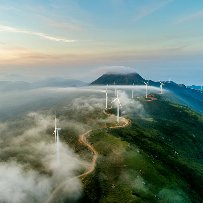 Why Vancouver is Canada's Powerhouse for Natural Resources and Economic Growth