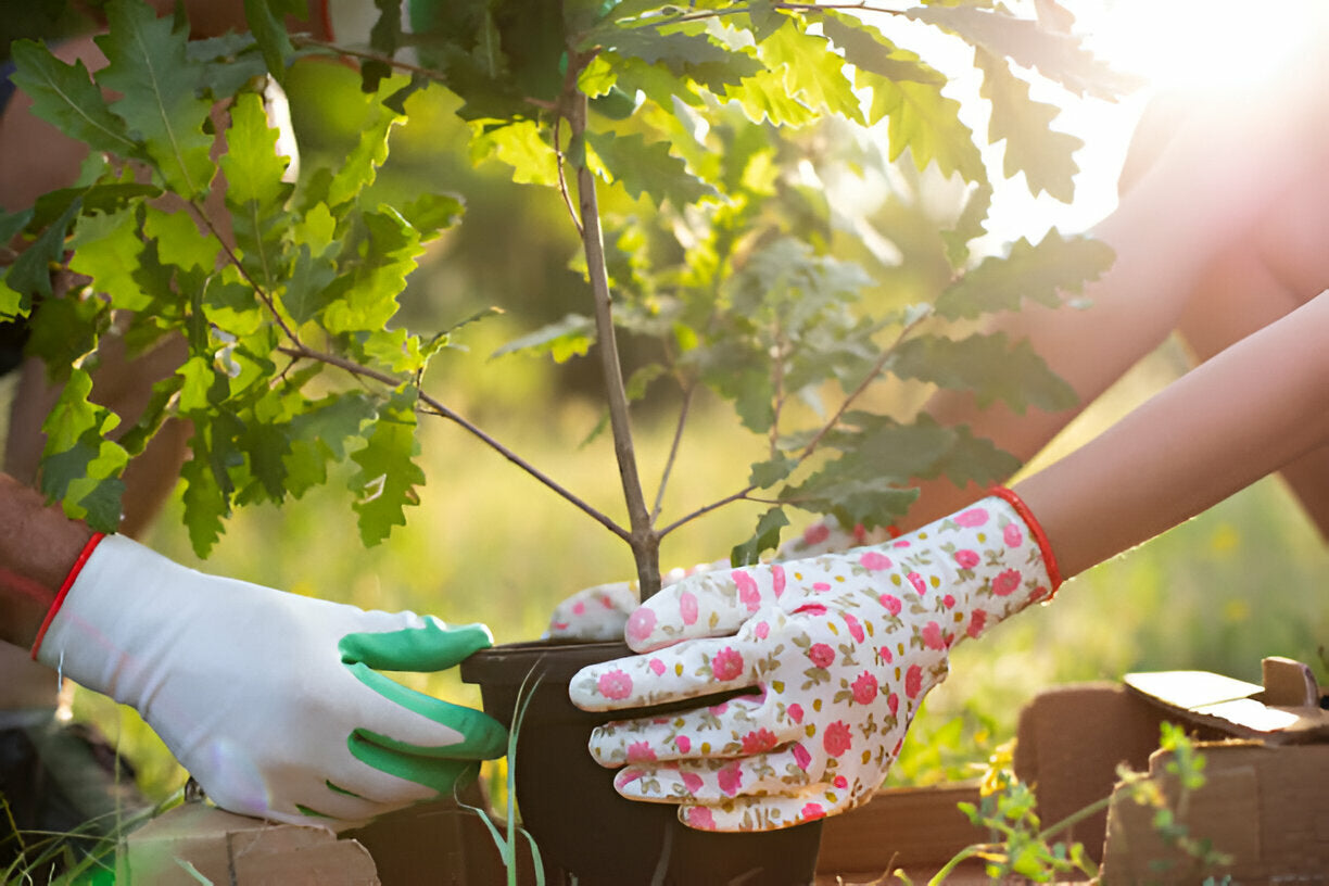 Gardening Assorted Gloves That Protect, Comfort, and Last Longer Than You Expect