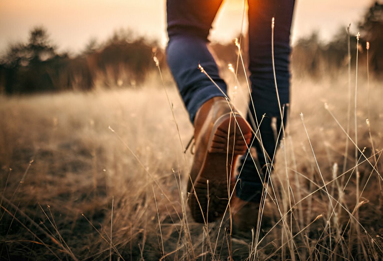 A review of the Steelite Mustang Boot S3 - FW69 - Mann Supply