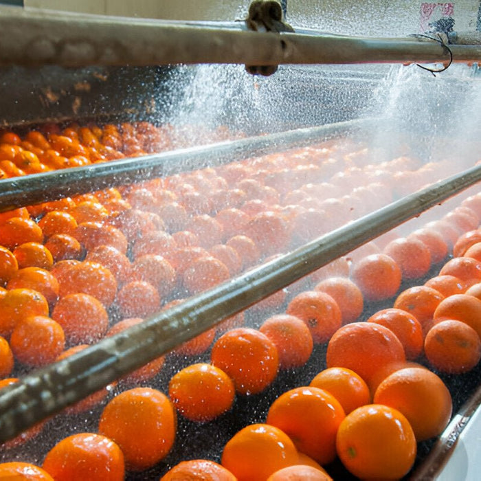 Discover Chicago's Food Production Power: From Farm to Table Innovation - Mann Supply