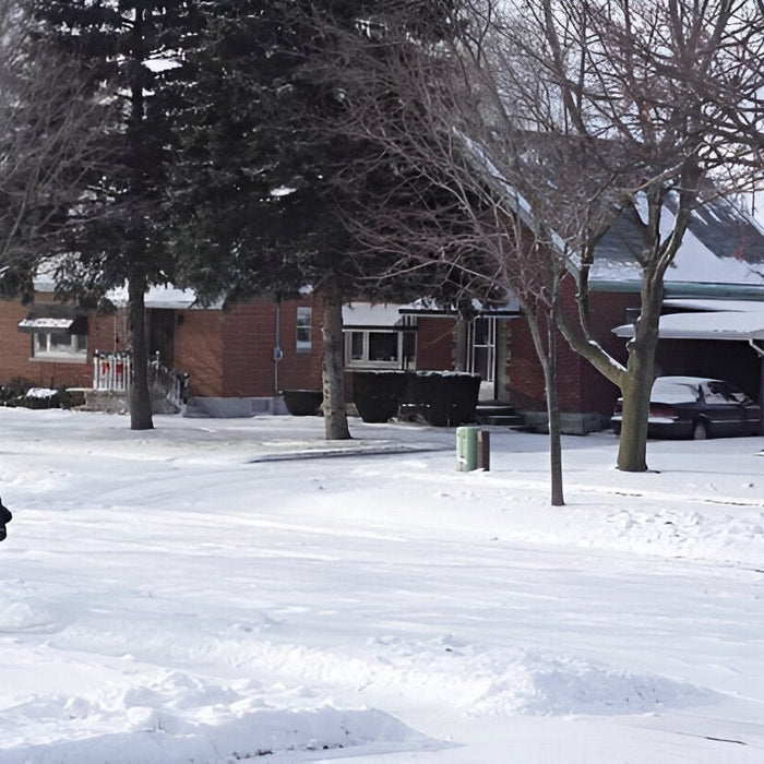 Discover the Secret to Keeping Postal Workers Warm and Safe This Winter - Mann Supply