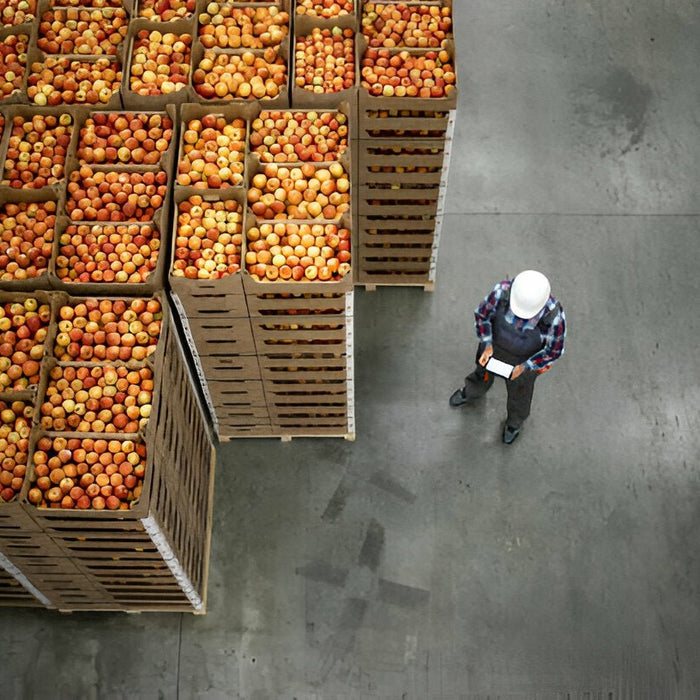 Feeding the Nation: How Chicago's Food Manufacturing Industry Shapes America's Future - Mann Supply