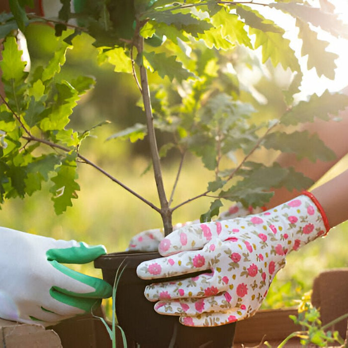 Gardening Assorted Gloves That Protect, Comfort, and Last Longer Than You Expect - Mann Supply