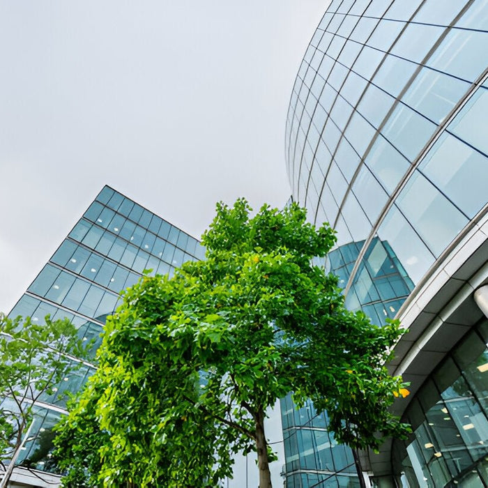 Honeywell International, Inc.: The Untold Story of Safety Innovations That Changed the World - Mann Supply