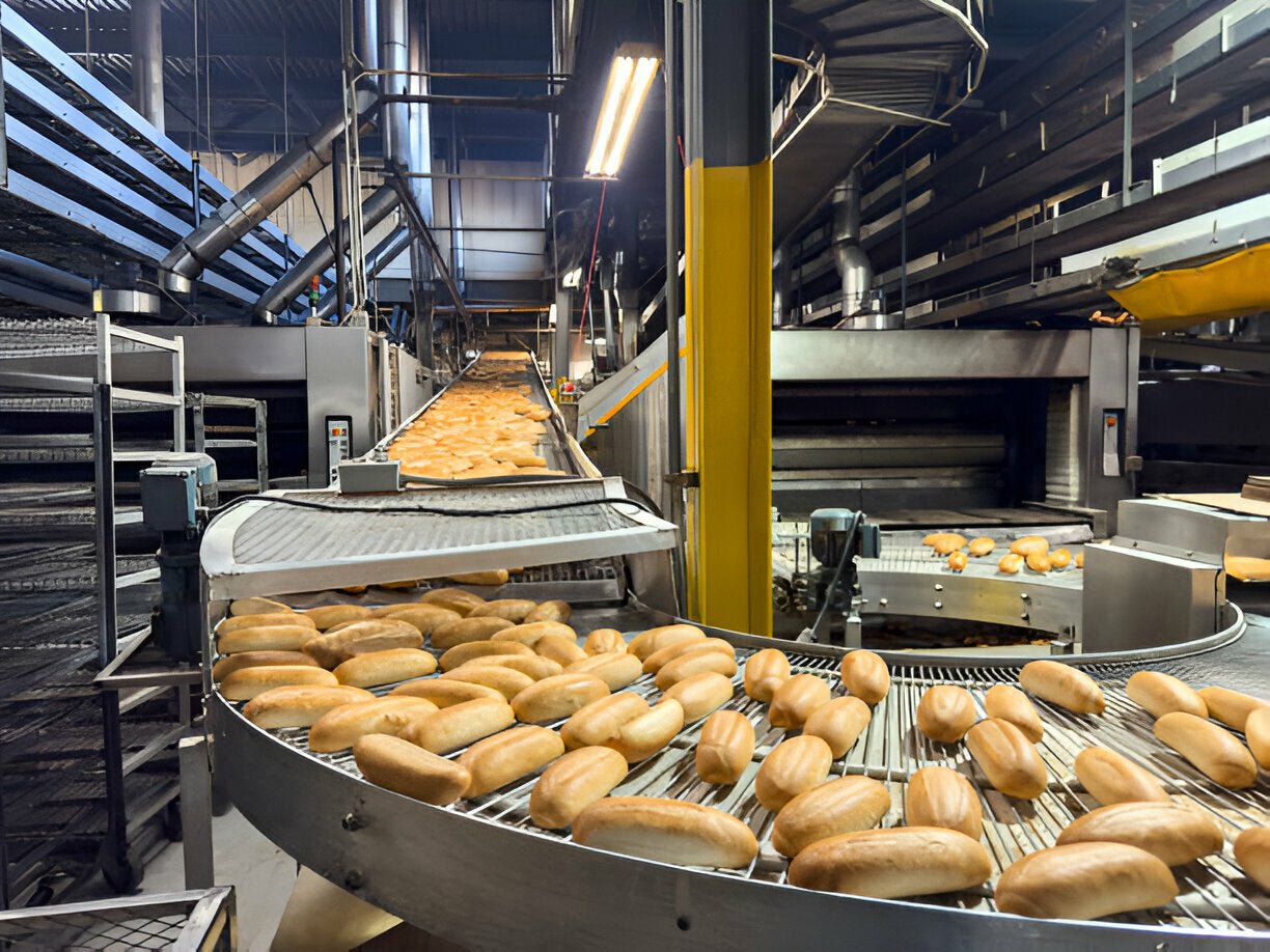 How Quebec City Is Revolutionizing Food Processing and Nourishing the Nation - Mann Supply