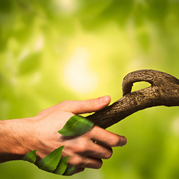 How Vancouver is Harnessing Nature to Power Its Thriving Resource-Based Economy - Mann Supply