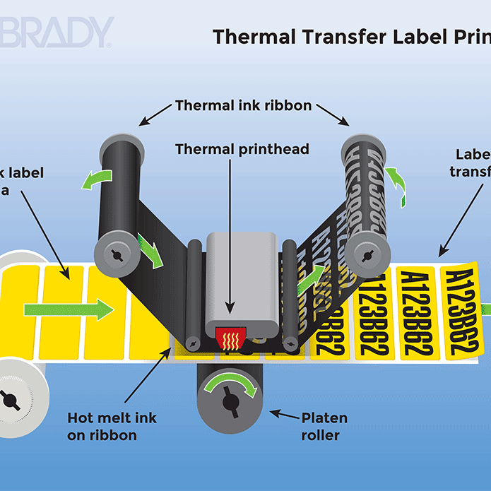 Top Common Label Printer Mistakes and How to Avoid Them for Smoother Operations - Mann Supply
