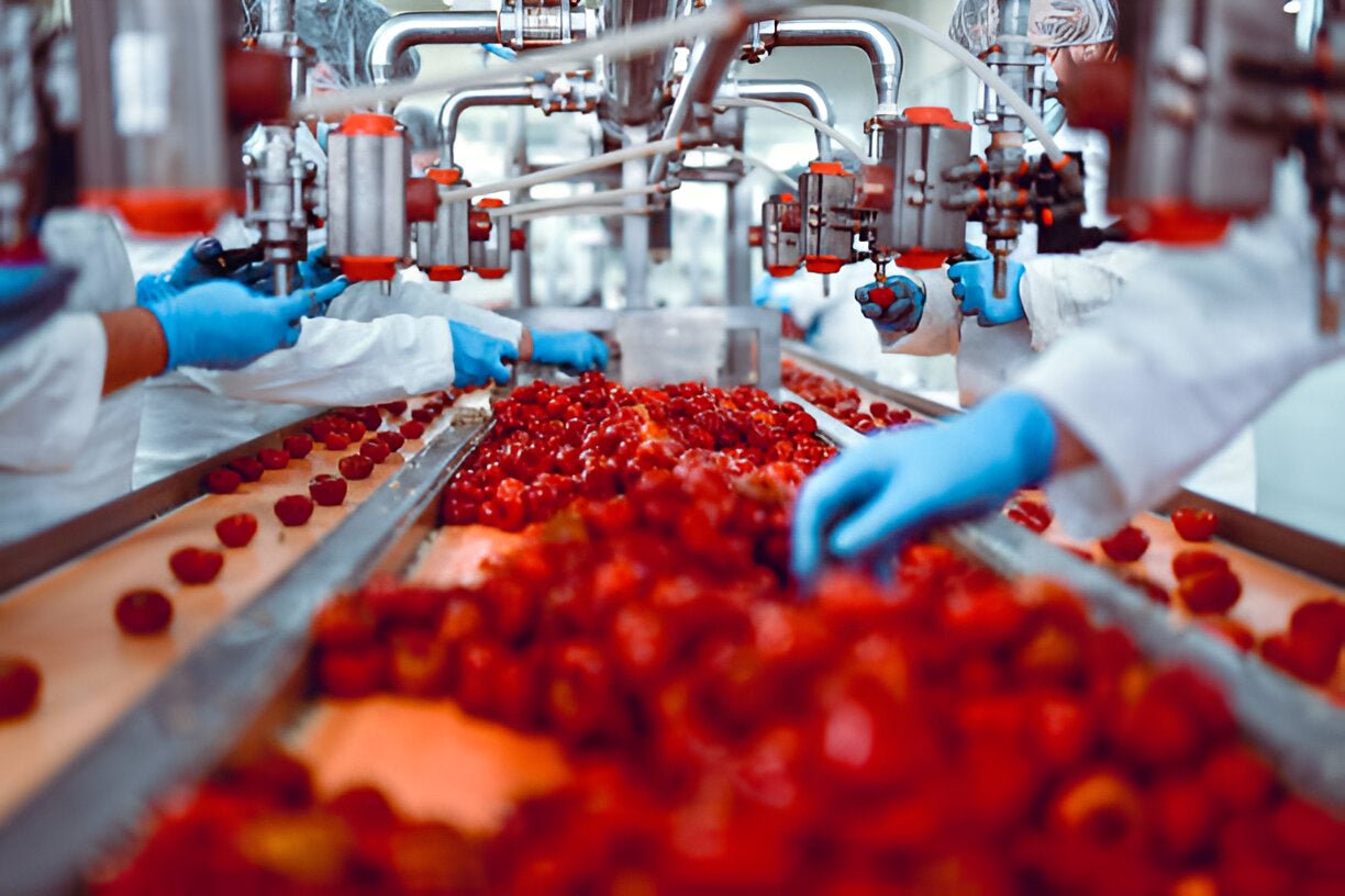 Unlock the Secrets of Safety Supply Procurement in Food Processing Facilities - Mann Supply