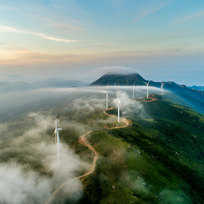 Why Vancouver is Canada's Powerhouse for Natural Resources and Economic Growth - Mann Supply