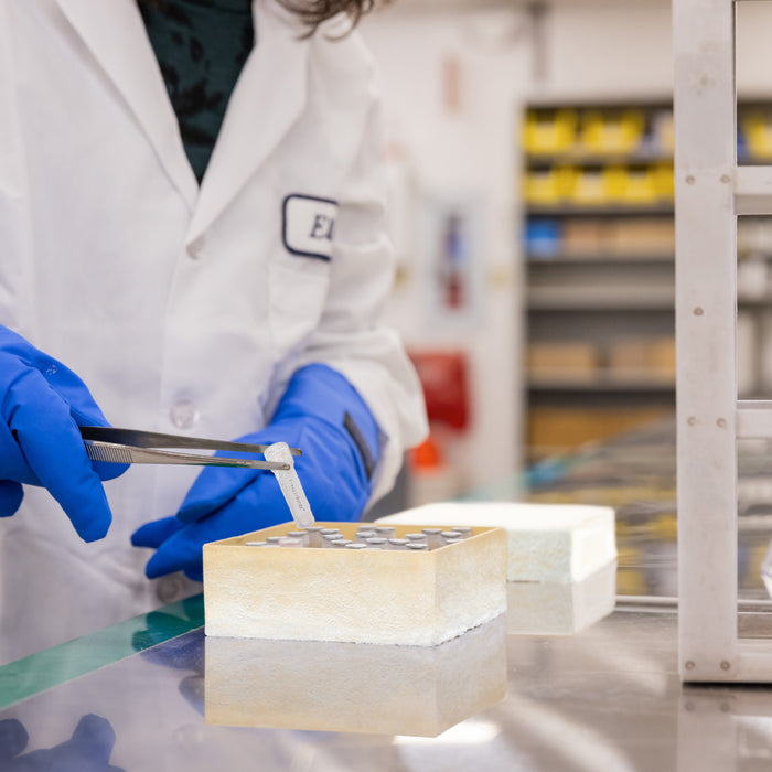 Brady FreezerBondz Ultra-Thin Cryogenic Labels - Durable Polyester, 0.25x0.374", Perfect for Lab Tubes & Vials"