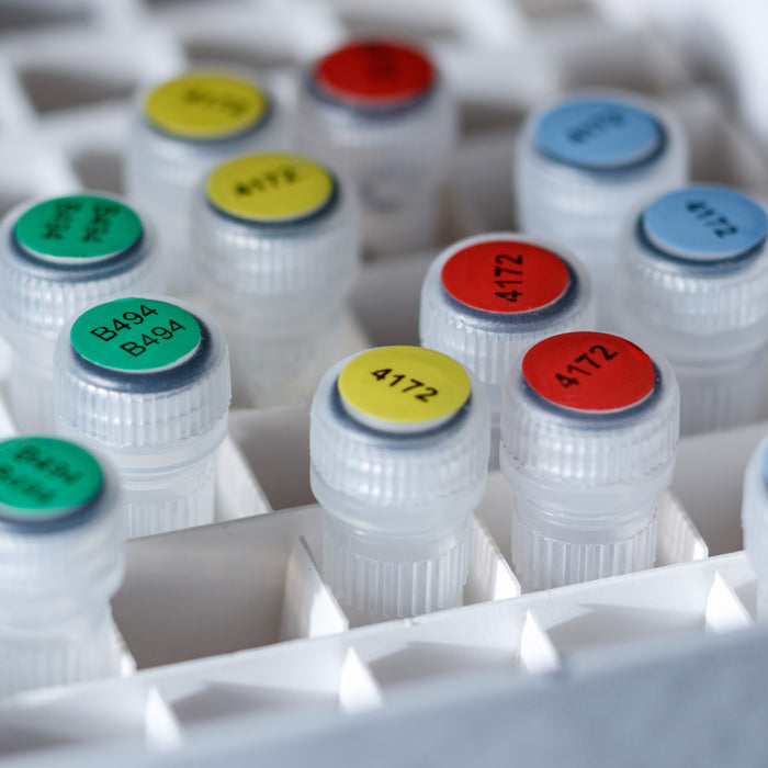 Brady 3 Core Color Polyester Vial & Tube Labels - Durable Lab Labels for Easy Sample Identification & Organization