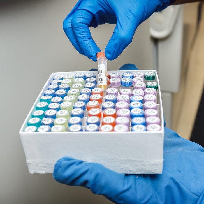 Brady FreezerBondz Ultra-Thin Cryogenic Labels - Durable Polyester, 0.25x0.374", Perfect for Lab Tubes & Vials"