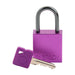 Aluminum Padlocks - Mann Supply BradyAluminum Padlocks
