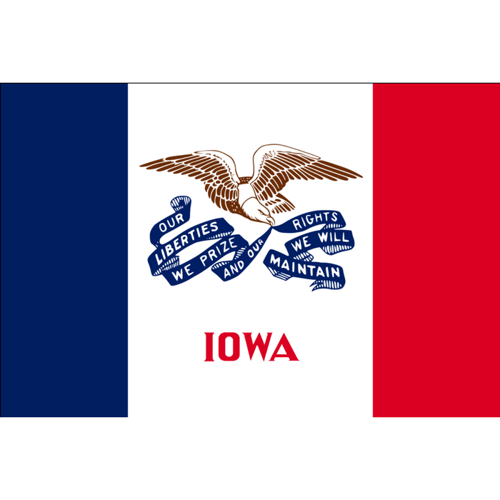 Windsock - Mann Supply Custom Windsock CompanyAmerican Flag
