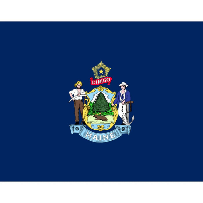 Windsock - Mann Supply Custom Windsock CompanyAmerican Flag
