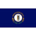 Windsock - Mann Supply Custom Windsock CompanyAmerican Flag