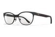 Safety Glasses - Mann Supply Wiley XAdjustable