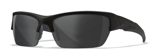 Safety Glasses - Mann Supply Wiley XAdjustable