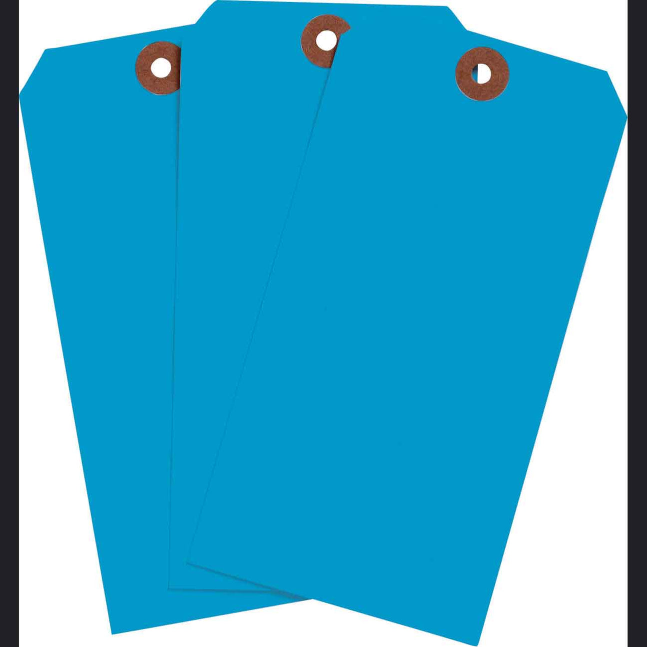 Buy Heavy Duty Light Blue Tags - 1000 Blank Safety Tags Pack — Mann Supply
