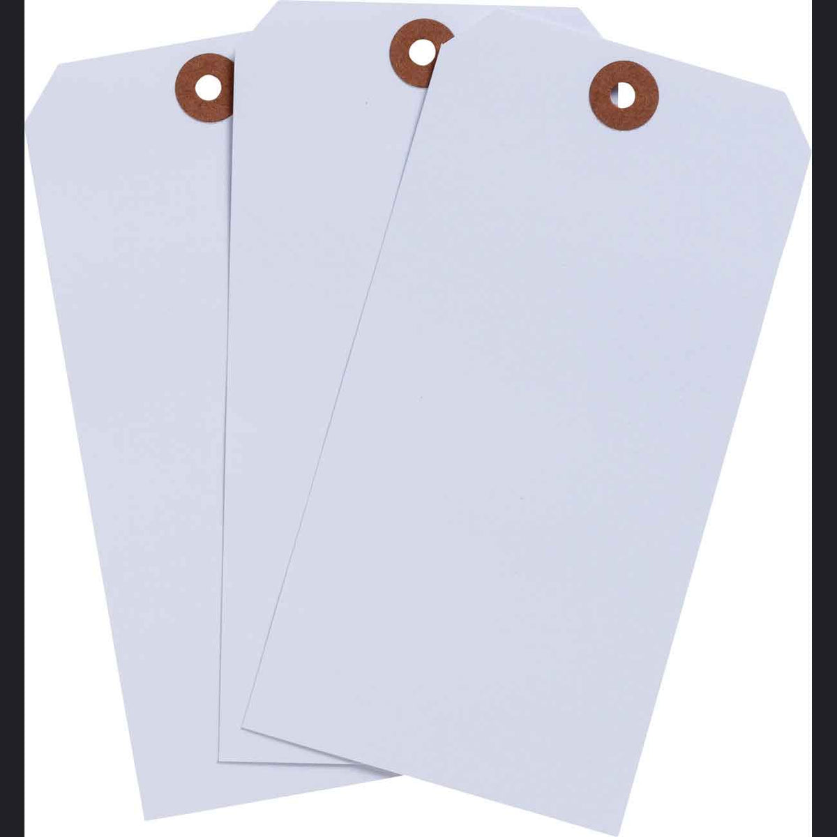Blank Heavy Duty White Tags - 1000 Pack for Versatile Safety Needs ...