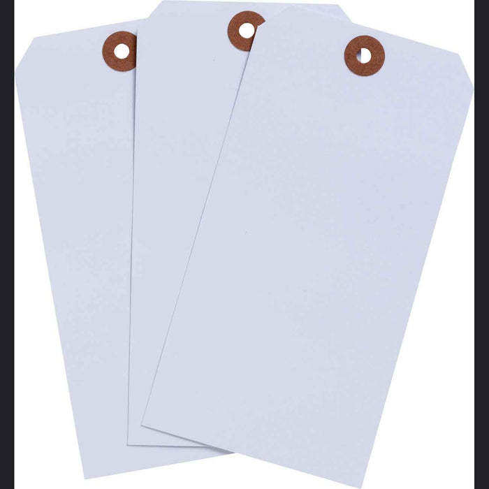 Heavy Duty Paper Tags - Mann Supply BradyBlank Tags