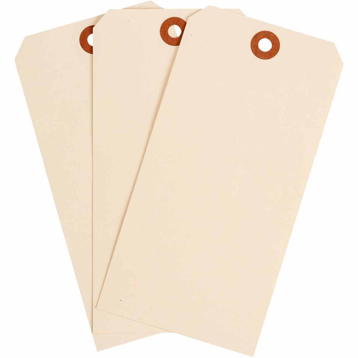 Heavy Duty Paper Tags - Mann Supply BradyBlank Tags