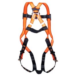 3-Point Adjustable Safety Harness with Tongue Buckles