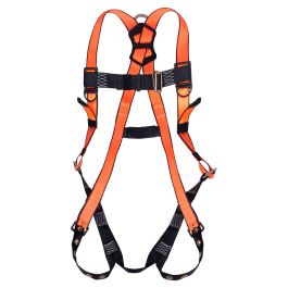 5-Point Adjustable Safety Harness with Tongue Buckles
